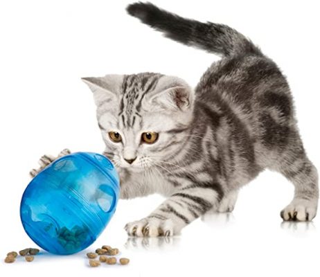 PetSafe Egg-Cersizer Meal Dispenser Cat Puzzle Feeder