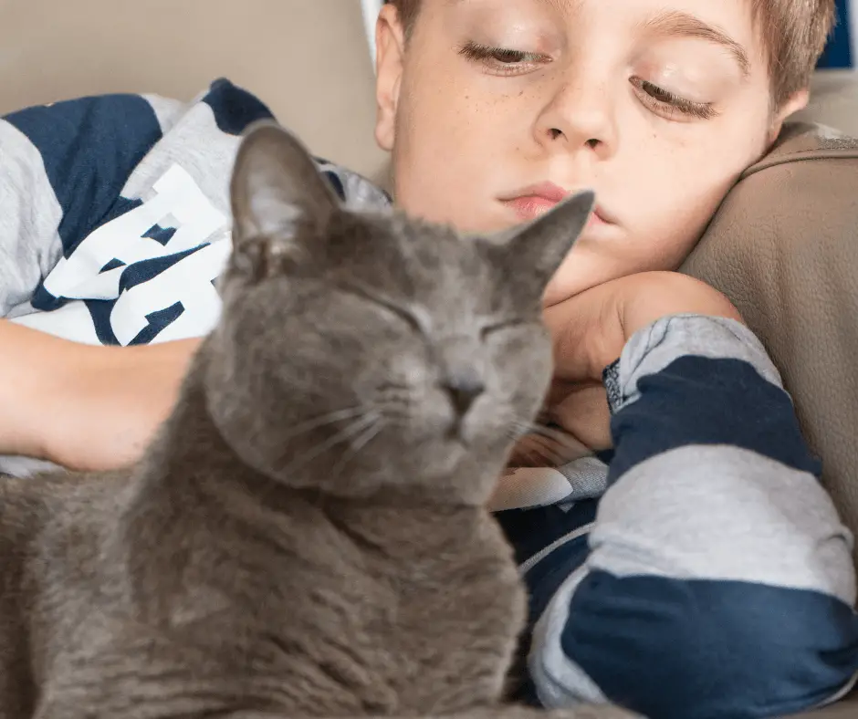 a boy with cat