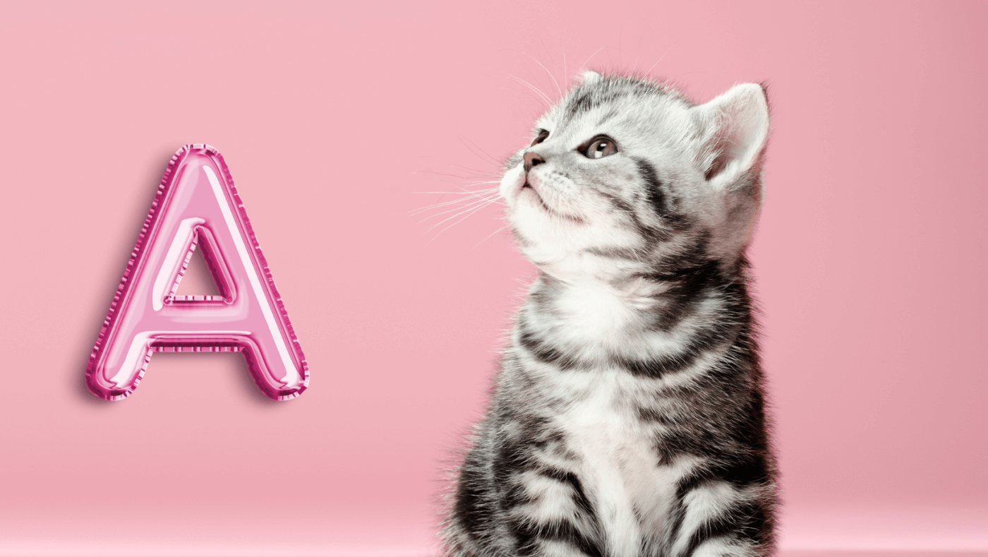 kitten name with alphabet A