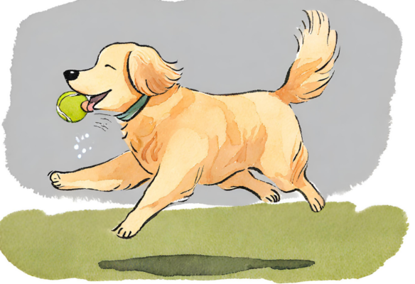 A golden retriever mid-jump catching a tennis ball in its mouth. Using play to distract from anxiety.
