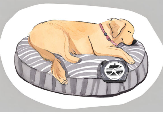  A golden retriever sleeping soundly on a plush round dog bed. Set up their environment to be calming.
