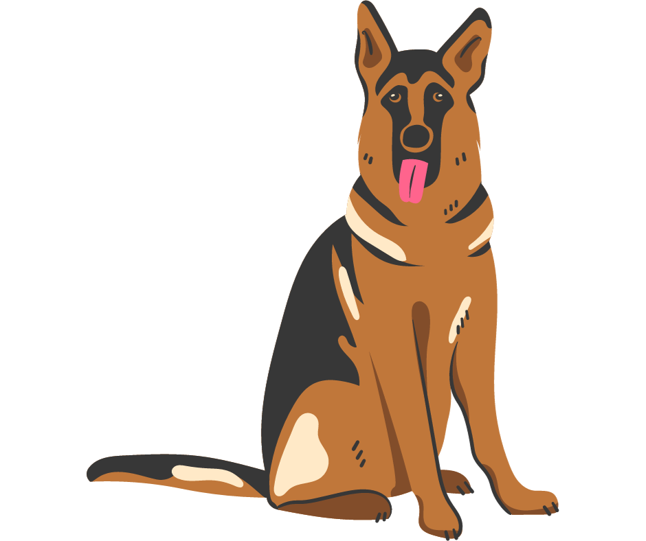 german-shepherd-rank-rating-and-breed-information-pet-reck